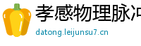 孝感物理脉冲升级水压脉冲